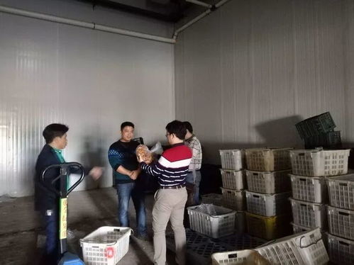 海口食藥監(jiān)局靠前服務(wù) 以專業(yè)指導(dǎo)賦能合作社農(nóng)產(chǎn)品深加工廠建設(shè)